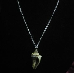 Natural Florida shell necklace in silver tone